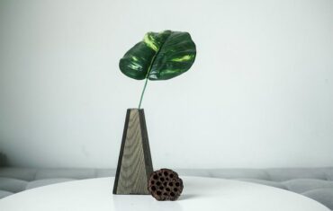 How To Make Your Home A Showplace