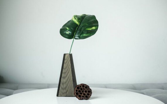 How To Make Your Home A Showplace